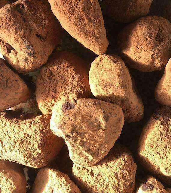 Truffes chocolat/noisettes crues et sans produits laitiers 