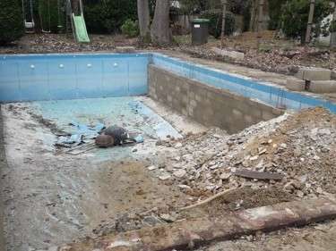 ec62fb9d4d7c410f96eab91209e7d22f