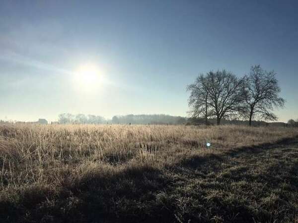 Surmonter naturellement la déprime saisonnière