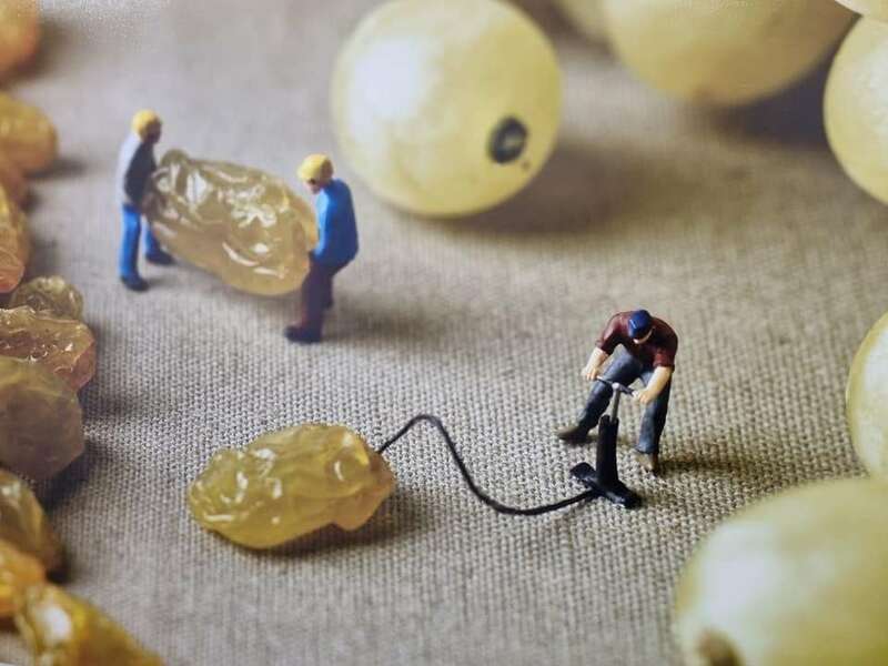 246985830_10158313356348144_7017860261757813649_n