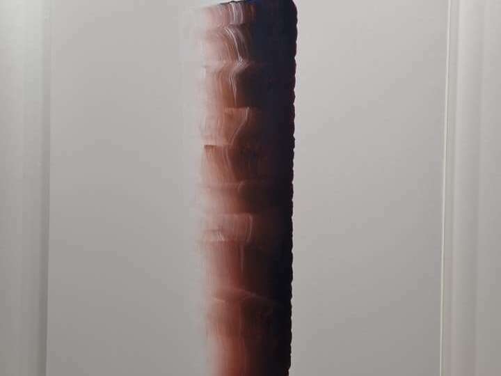 247120488_10158315223243144_6270418021283410914_n