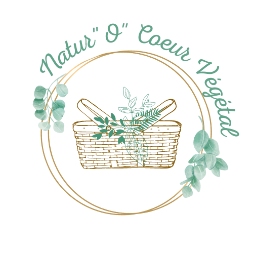 Logo NATUR"O"COEUR VEGETAL