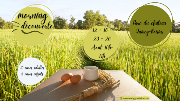  DECOUVERTE DES PLANTES SAUVAGES A QUINCY-VOISINS