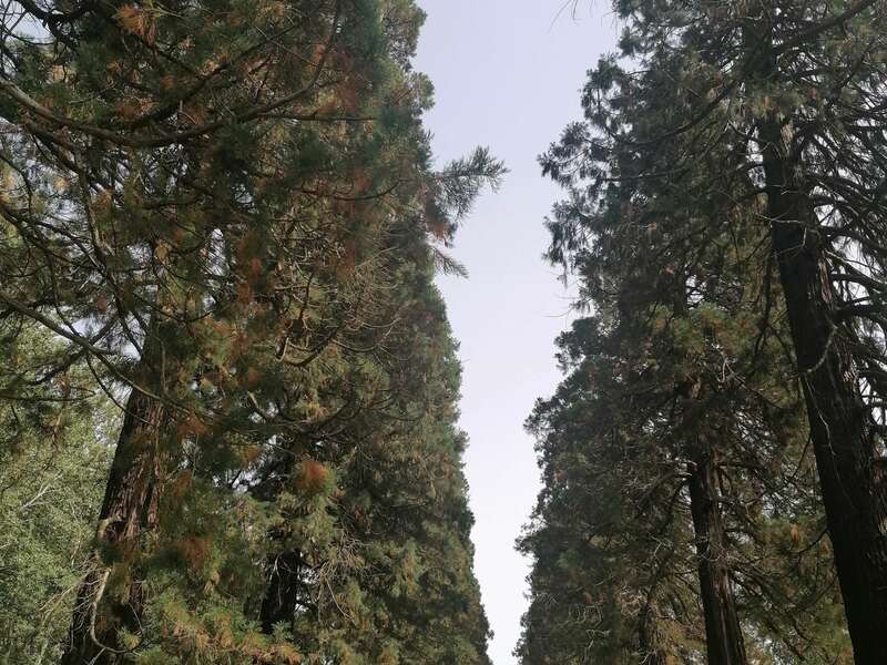 parc_taffarette_2__1_