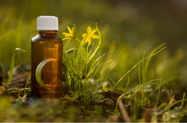 Fleurs de Bach : Préparation des vacances 