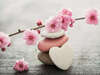 Pierres relaxation et branche de cerisier