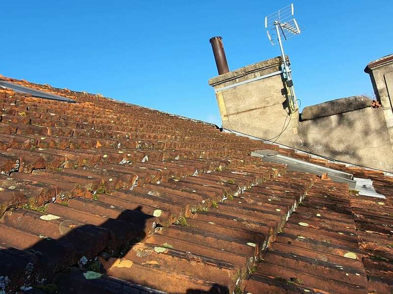 20230210_100816_resized