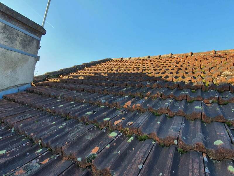 20230210_101026_resized