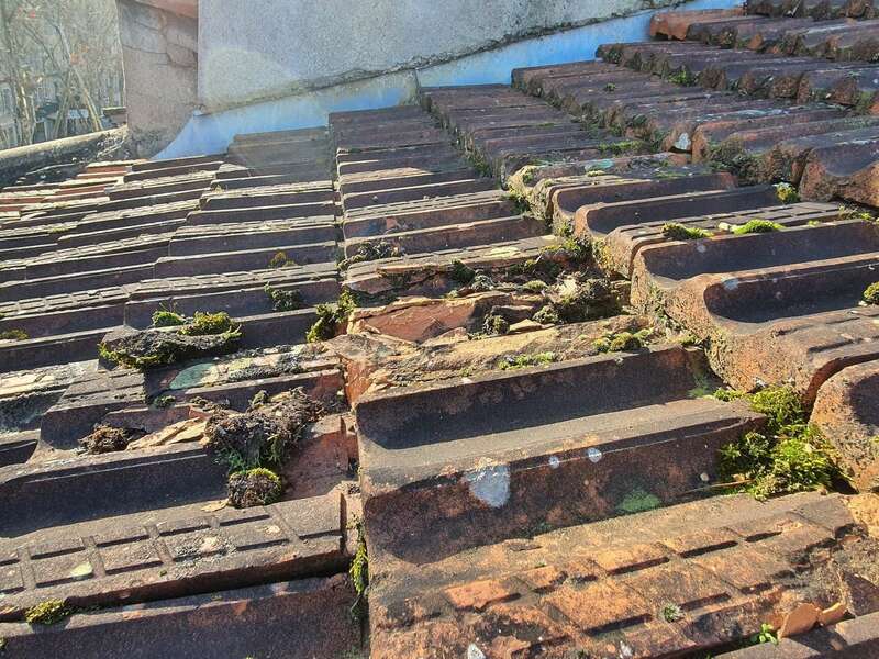 20230210_100837_resized