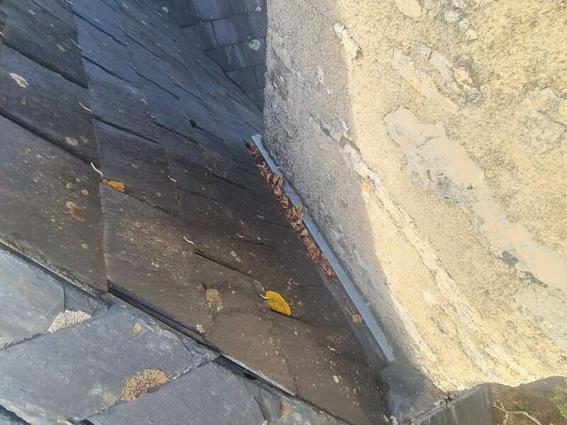 20231013_162315_resized