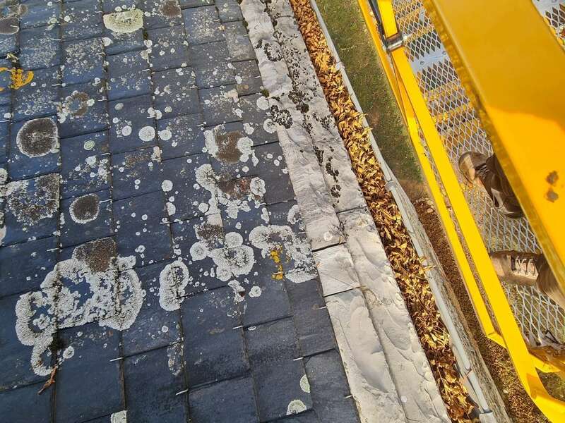 20231013_162835_resized