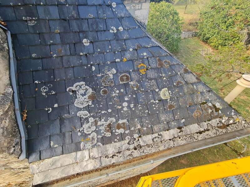 20231013_163046_resized