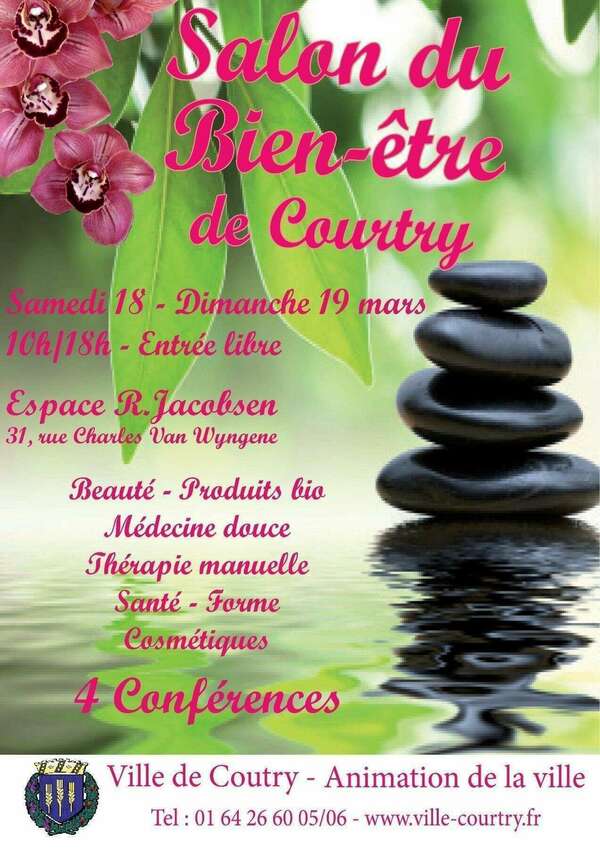 Salon du bien-être de Courty - Formation Access Bars - Carine Level 