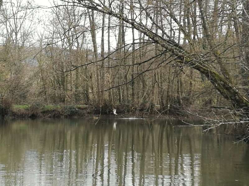 89210983_2560088054238821_1772916406199779328_n