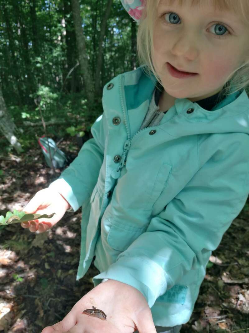 img_20200607_114624_1