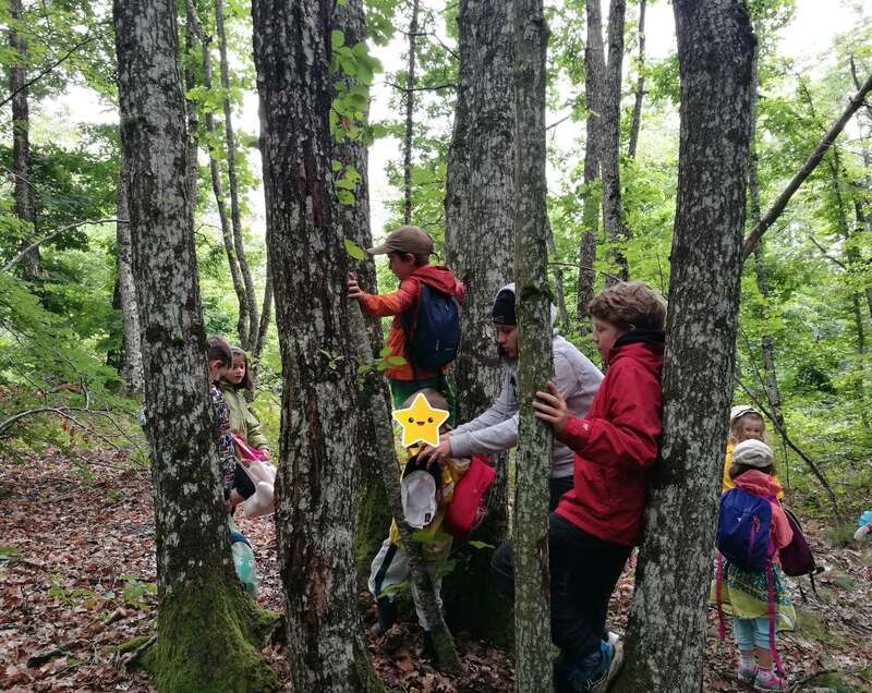 img_20200608_162820rognee