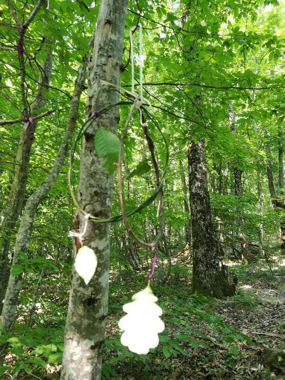 104707833_2813902082215587_7462180684358913244_n