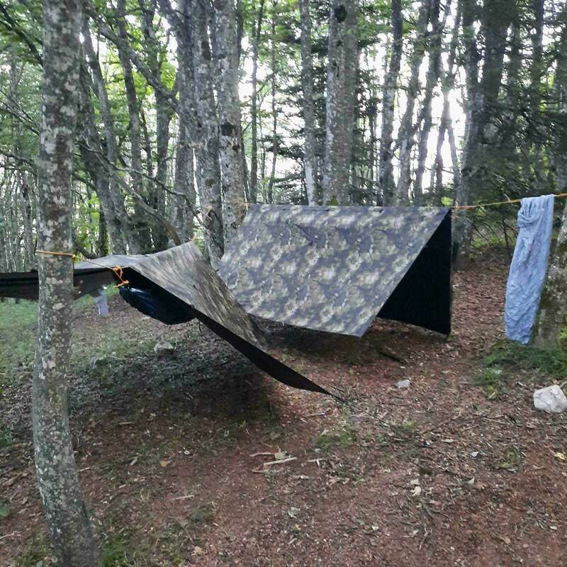 signal-2024-08-25-10-29-08-231-18