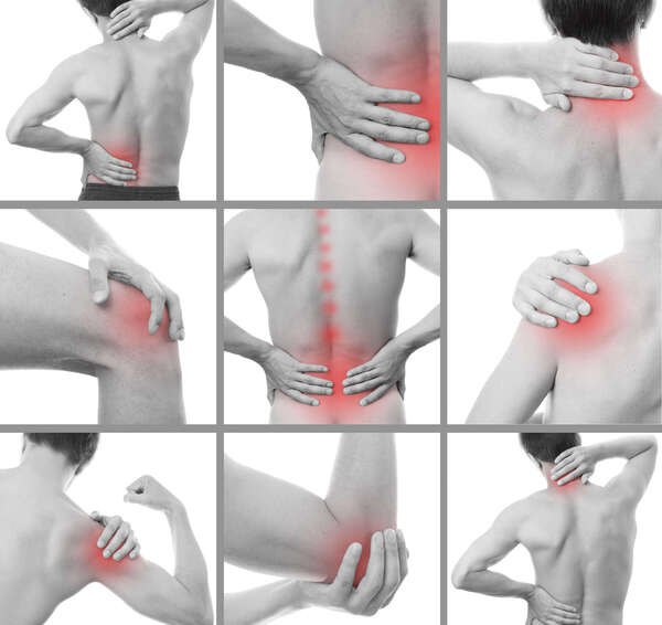 L’Harpagophytum : un allié naturel contre l’arthrose