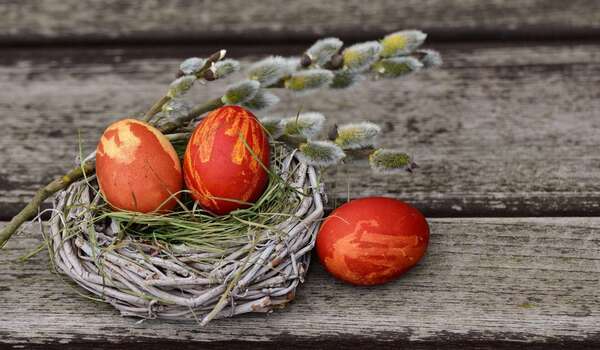  Joyeuses fêtes de Pâques à tous nos patients du centre Elochiro !