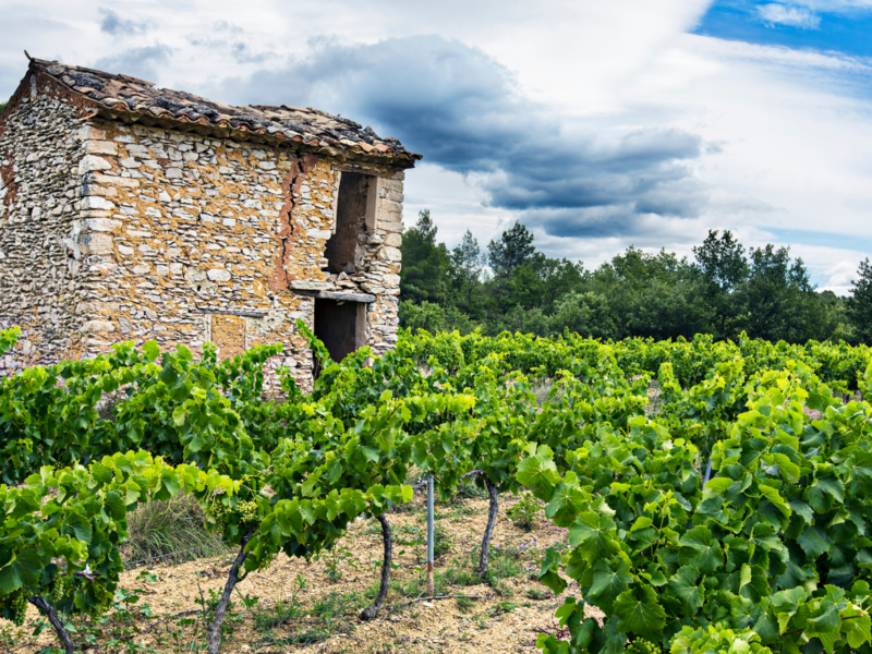 story_instagram_shopping_boheme_terracotta__site_web__-_2025-01-13t161004-829