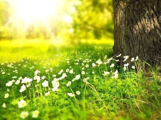 Venez vous ressourcer grâce à l'hypnose