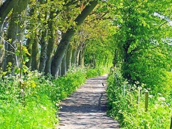 Grâce à Skype, vous avez un thérapeute même en pleine campagne