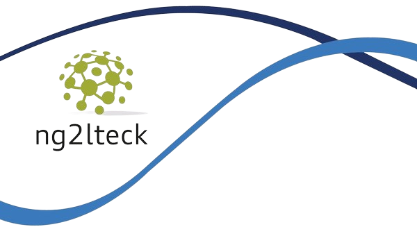 Logo Ng2lteck