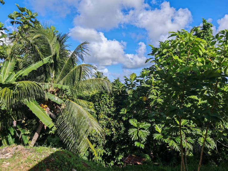 capture_d_ecran_2025-03-24_212340