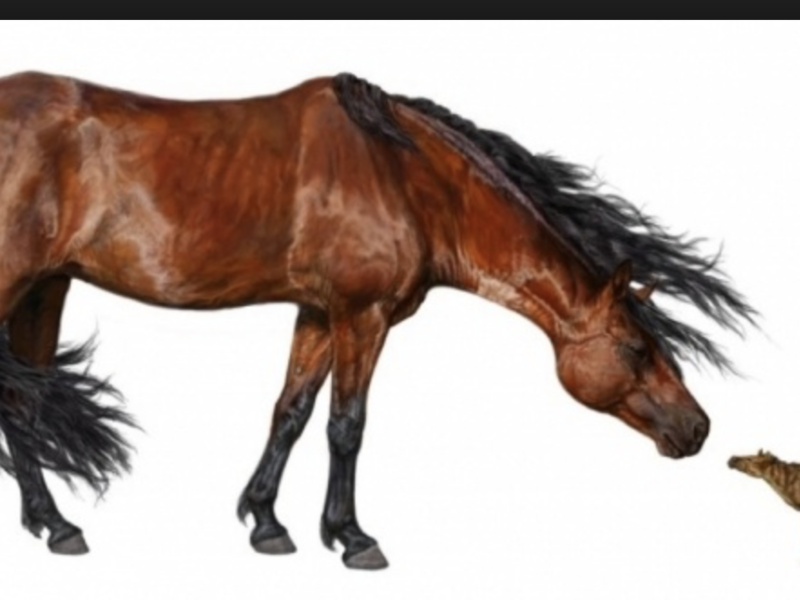 capture_d_ecran_2018-06-16_a_23-01-40