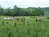 Equi relax : équitation remise en confiance