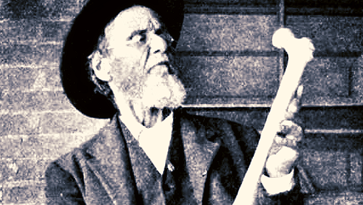 Quelles sont les origines de l'ostéopathie?