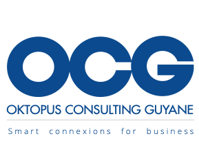 Octopus Conseil