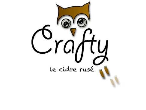 agence-communication-perpignan-drone-graphisme-web-referencement-photographe-marketing-d2-prod