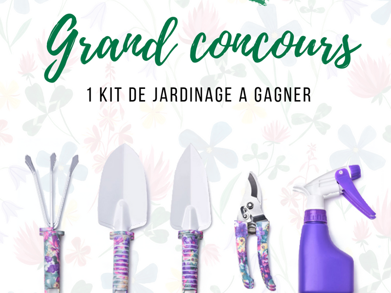 agence-communication-perpignan-drone-graphisme-web-referencement-photographe-marketing-d2-prod