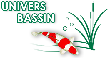 Unvers bassin