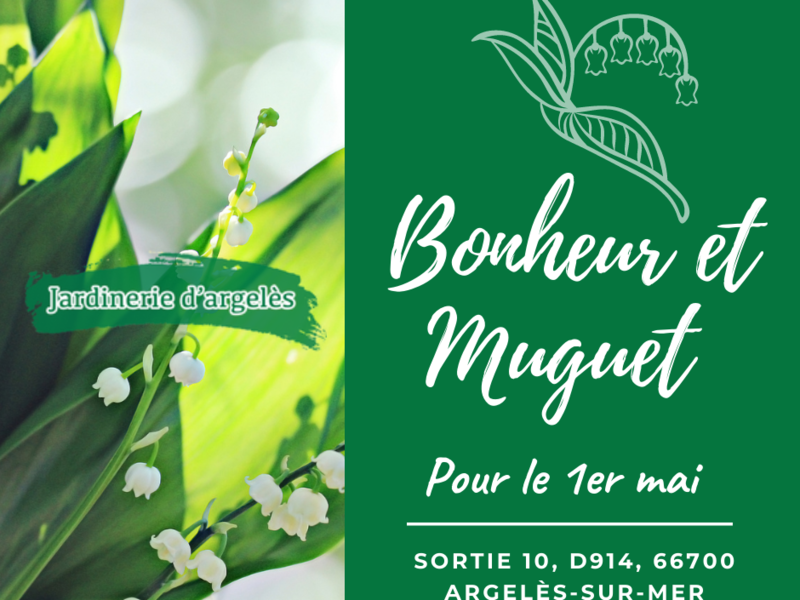 réseau-sociaux-community-management-d2-prod-agence-web-graphisme-site-internet-communication