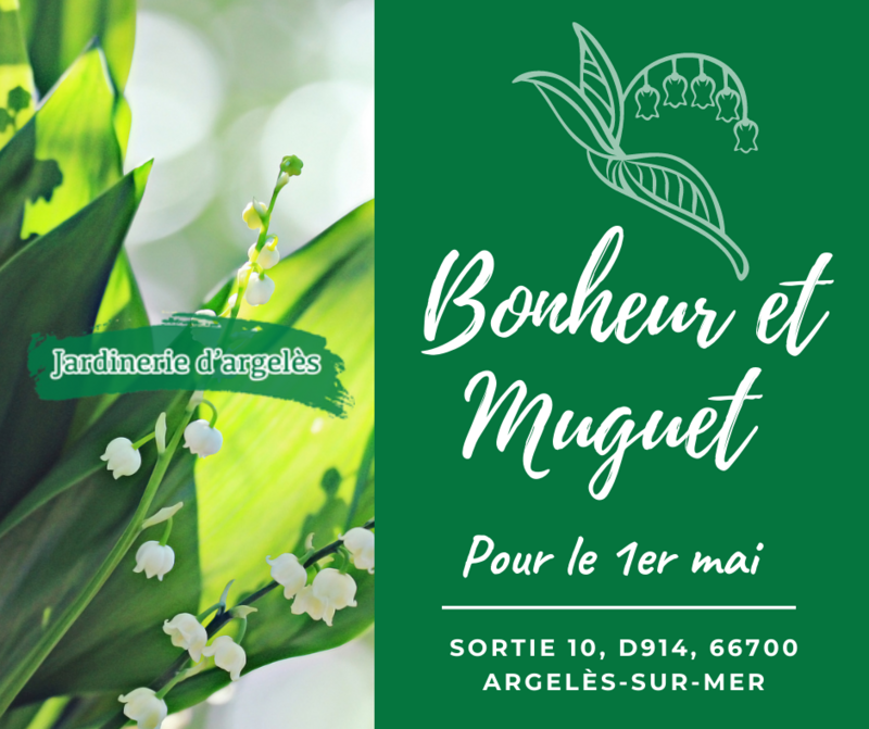 agence-web-communication-perpignan-66-reseaux-sociaux-site-internet-graphiste