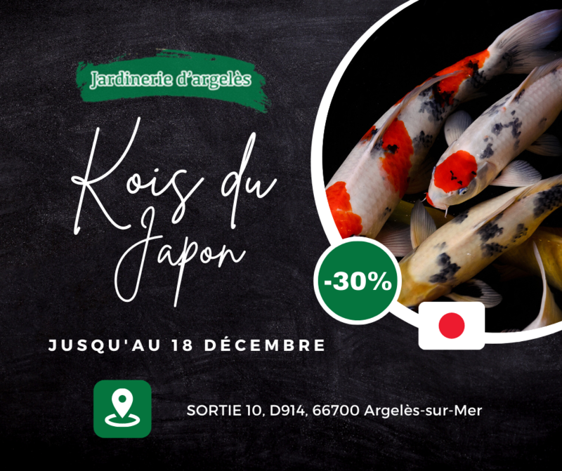 jardinerie_novembre__1_