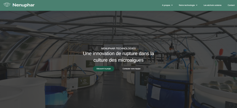 agence-web-communication-perpignan-66-reseaux-sociaux-site-internet-graphiste
