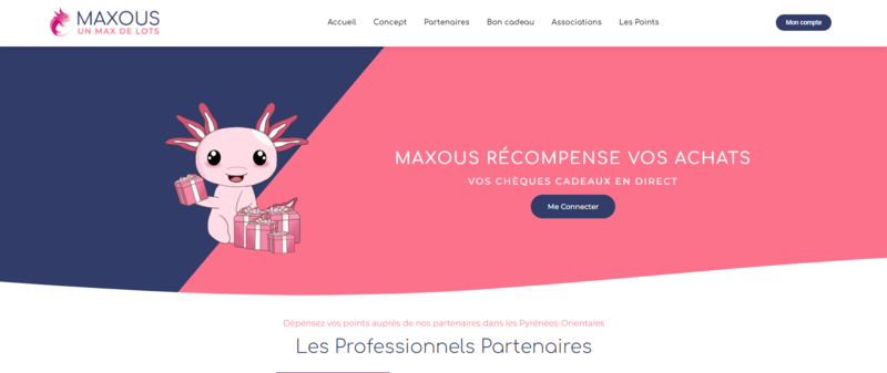 agence-web-communication-perpignan-66-reseaux-sociaux-site-internet-graphiste