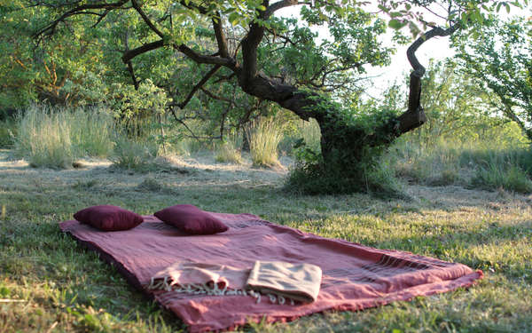 Massages sous les arbres