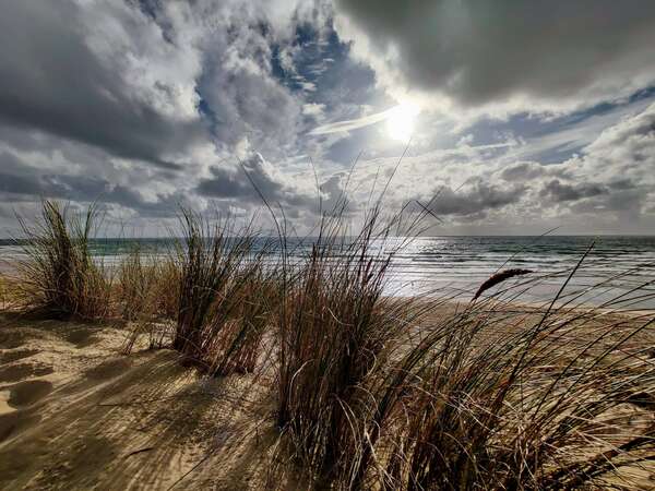 Reprise des activités en septembre