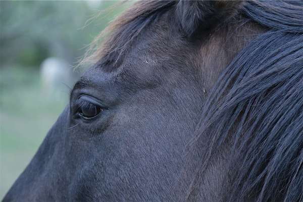 Atelier "jeux de liens"