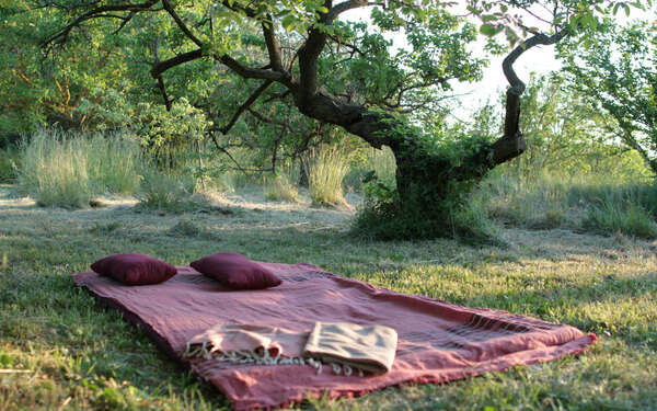Massages en plein air
