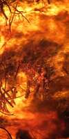 formation incendie Epinal