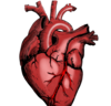 arrêt cardiaque