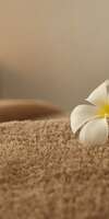 Mélanie Lemaire , Massage de relaxation à Saint-Cyr-sur-Loire