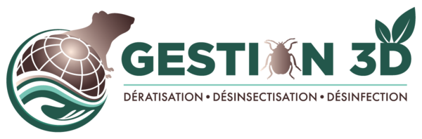 Logo GESTION 3D