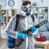 L’importance des professionnels de la désinsectisation